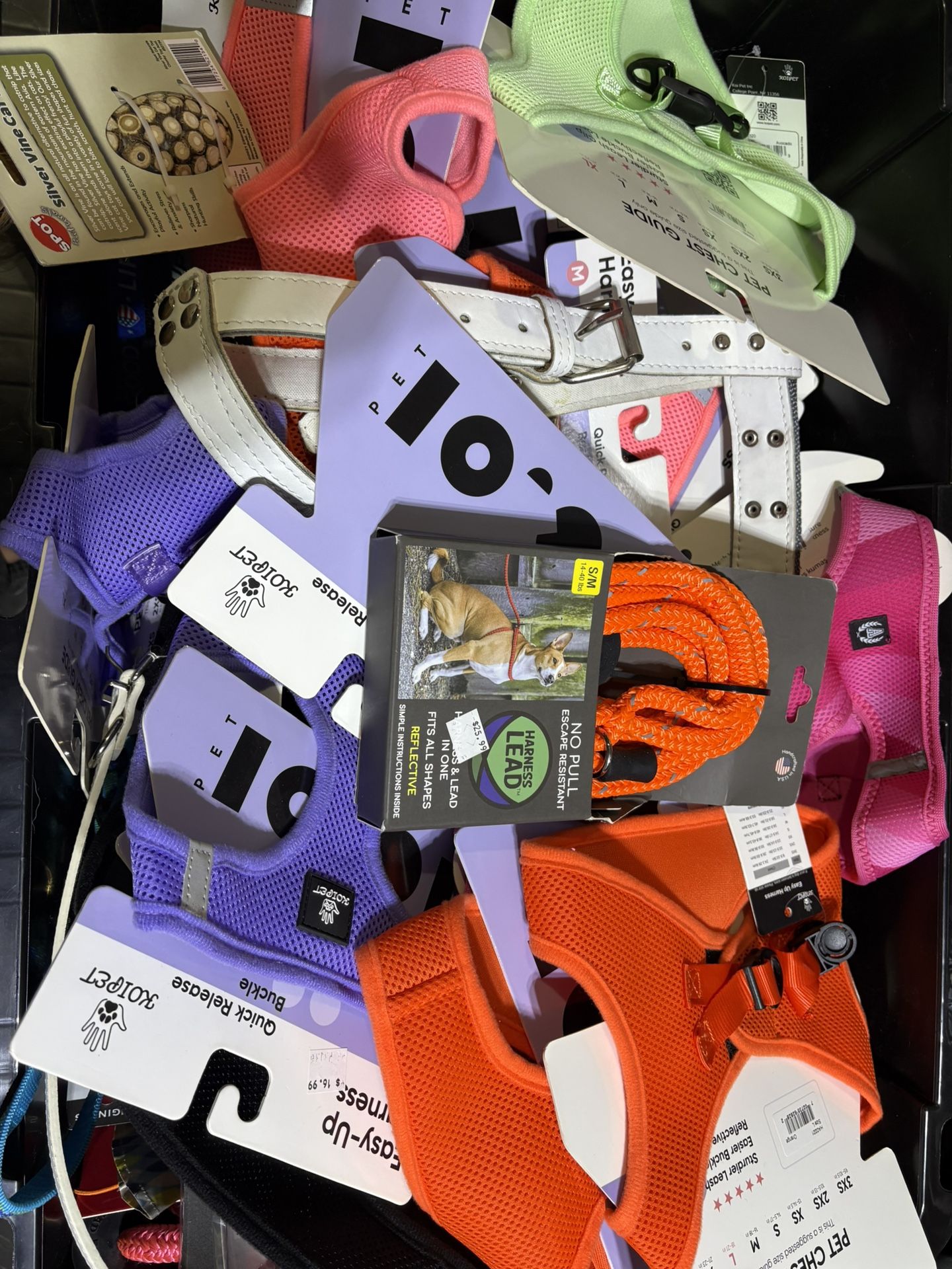 Storage Bin Filled With Dog Toys, Leashes, Harnesses, And Other Accessories
