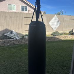 Punching Bag w/ Mount