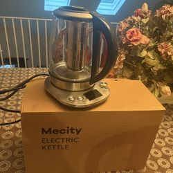 Electric Kettle 