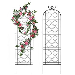Garden Trellis For Vines And Climbing Plants Set Of 2 / I Have 3 Sets Available 