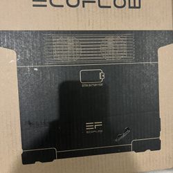 Ecoflow Delta 2