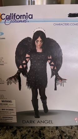 Dark Angel costume