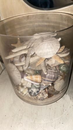 Shells