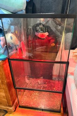 Reptile tank /  terrario para reptile