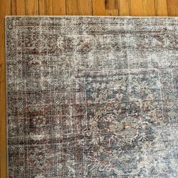 Living Room/ Area Rug