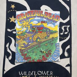 💀🥀 1996 Greatful Dead Spring Tour 💀🥀