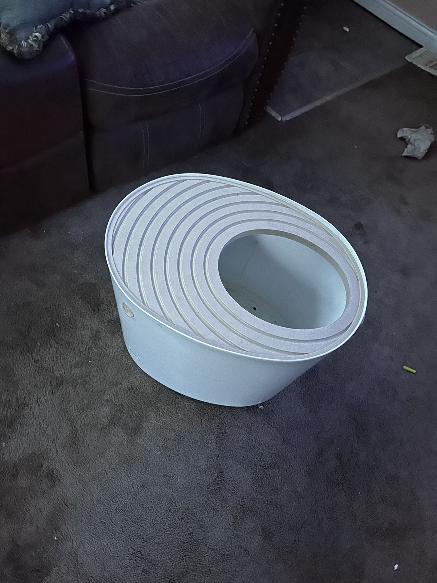 cat litter box