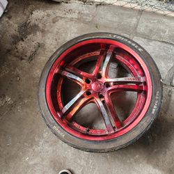 Rines 20"