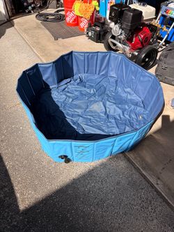 Dog swimming pool