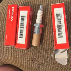 Honda Spark Plugs