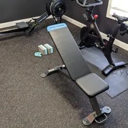 Proform Adjustable Carbon Weight Bench