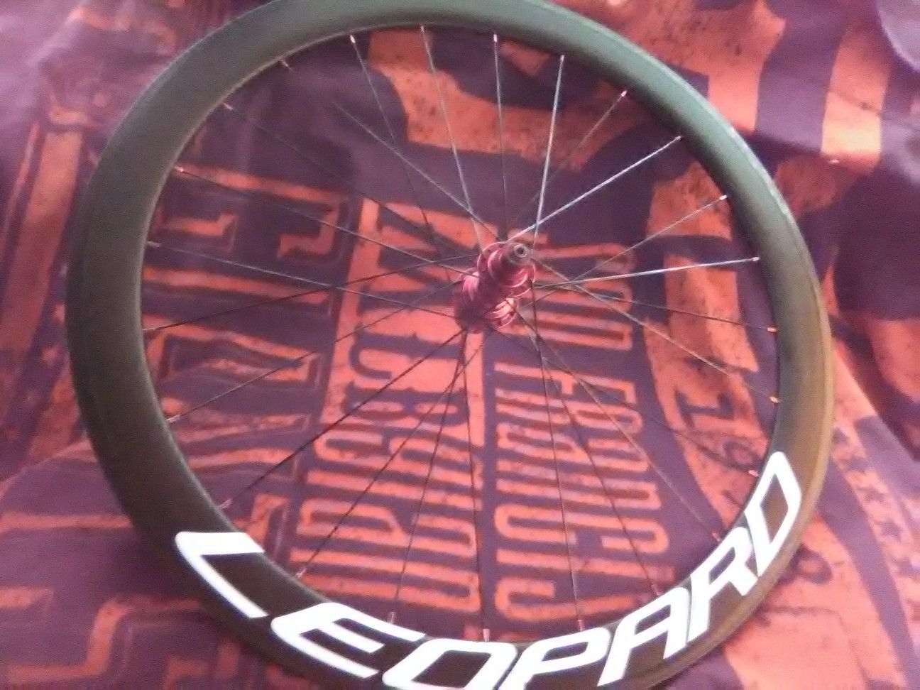 Flux leopard bicycle wheel