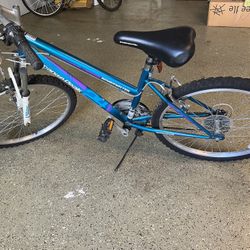 24 Inches Girls Bicycle 