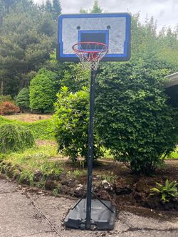 Lifetime Basketball Hoop