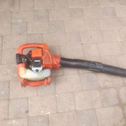 Echo Leaf Blower