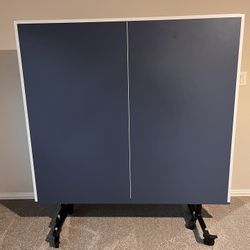 Table Tennis (Ping Pong)