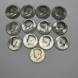 Bicentennial Kennedy Half Dollar Lot Of 13