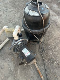 Pool pump and filter