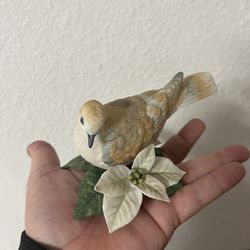 Lennox Turtle Dove