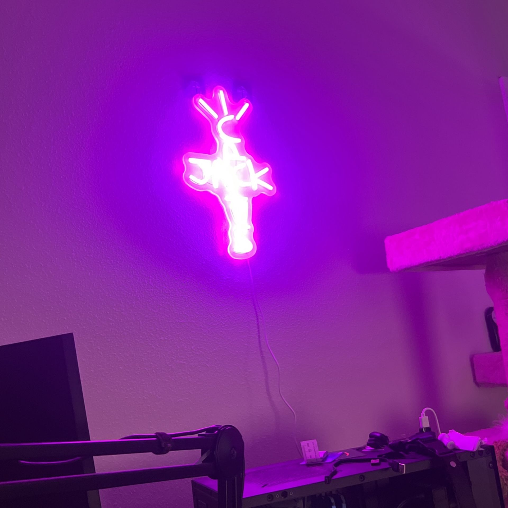 cactus jack LED light pink - www.rajagirimanappuram.com