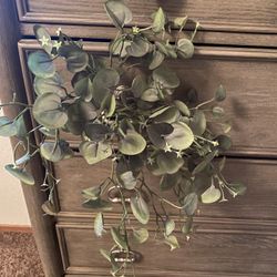 Artificial branch