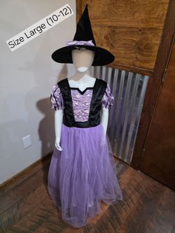 New Fancy Witch Costume