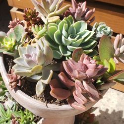 Tilted Pots