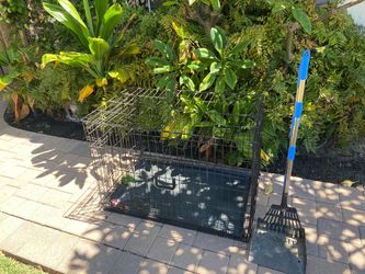 Folding Dog Crate