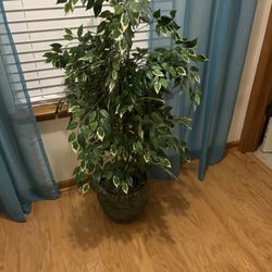 4 Ft artificial plant