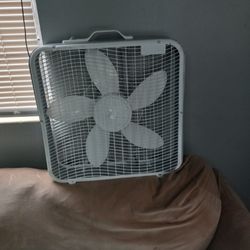 Fan
