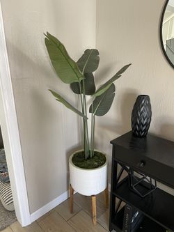 Fake House Plant
