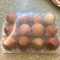 Chicken And Duck Eggs