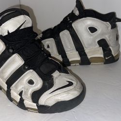 Pippin Air Nikes Size 9.5 