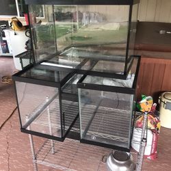 3 20 Gallon Aquariums 