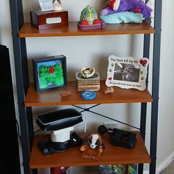 Ladder Bookshelf with 5 shelves
 *New Condition*