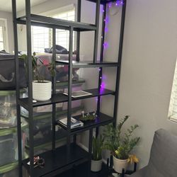 Shelf Unit