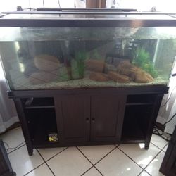 Aquarium 75 Gallon 