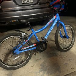 Boys Shwinn Fenite Bike Bicycle