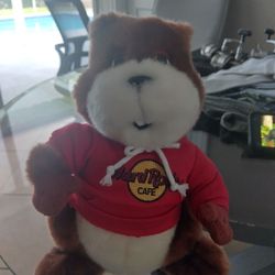 Hard Rock Cafe Oasis TBC Red Squirrel HRC Toy ( Herrington Teddy Bear Company )