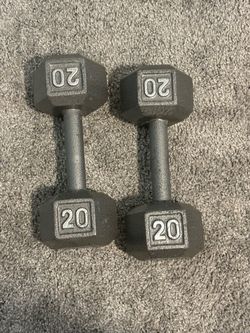 20 LBS Dumbells
