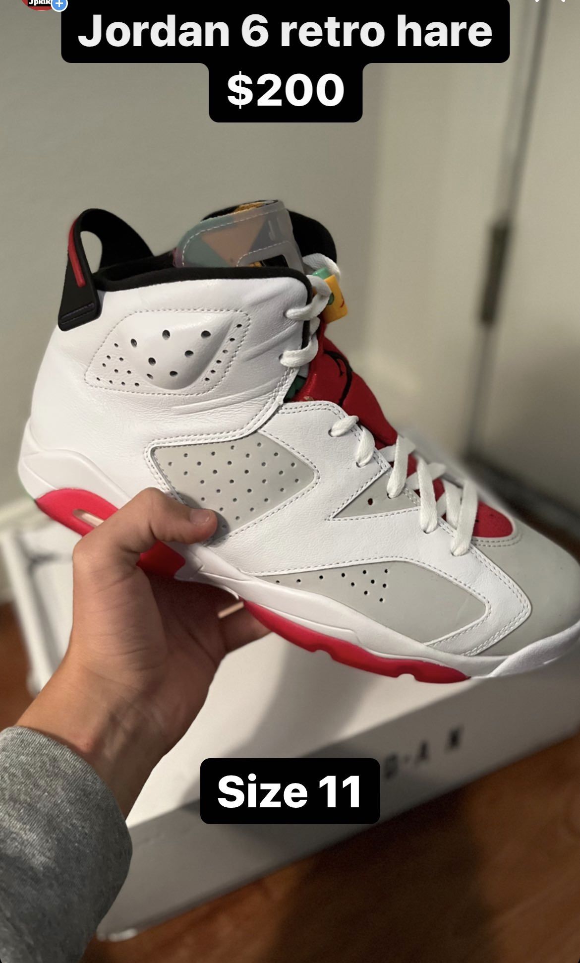 Jordan 6 Retro Hare 