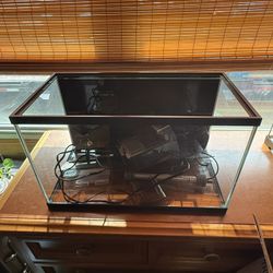 10 Gallon Fish Tank