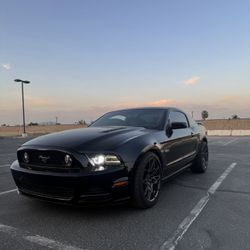2013 Ford Mustang