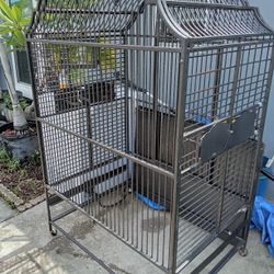 Bird Cage