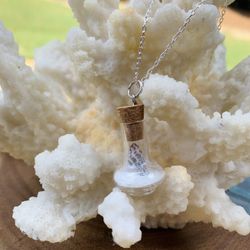 Real Miniature Seashell in Glass Bottle Necklace