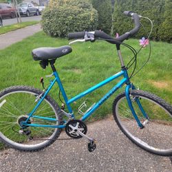UNIVEGA ROVER304 BIKE