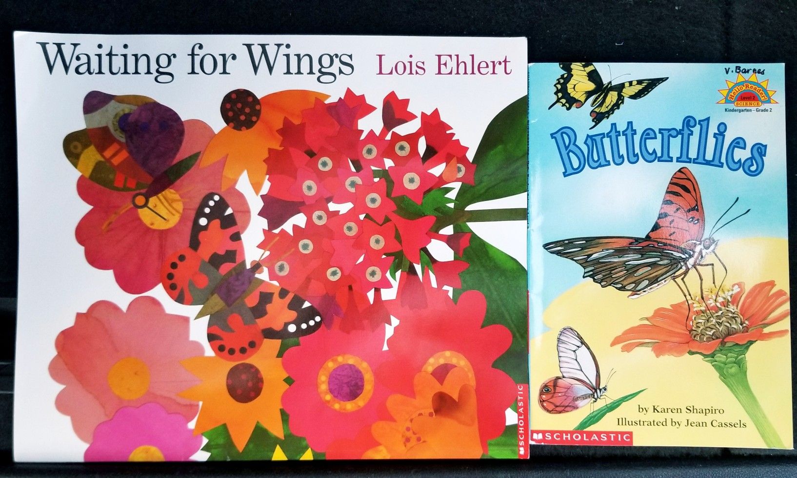 Set of 2 Butterfly Books