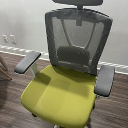 ErgoChair Pro (Autonomous)
