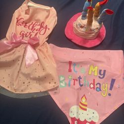 Birthday Pet Dress And Bandana/hat 