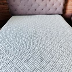 Queen bed + Mattress - Great Condition